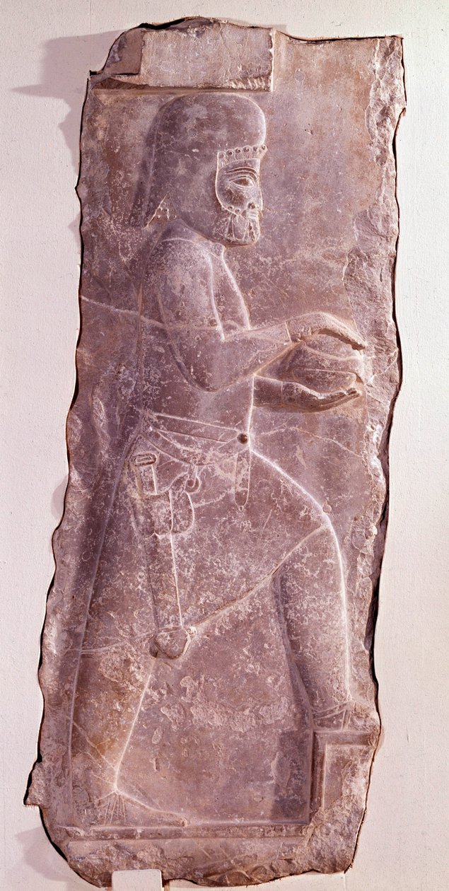 Steinrelieff som representerer en medisk tjener (folk i Iran). Routeenide-periode. Lavt relieff fra trappen til palasset til Darius I (550-486 f.Kr.) konge av Persia. Persepolis, Fars, Iran. Bevare på Museum of Fine Arts Zürich av Persian School