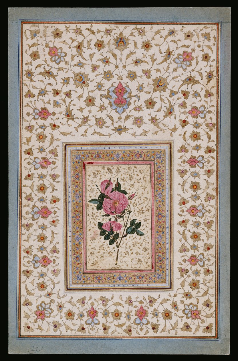 Studie av en rose av Persian School