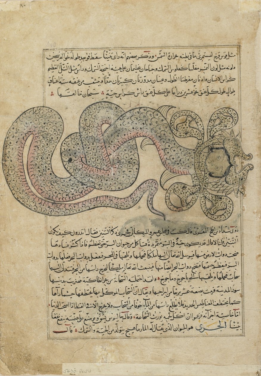 The Sea-SerpentDragon (al-Tannin), folio fra Ajaib al-makhluqat (Skapelsens under) av al-Qazvini, Irak eller Øst-Tyrkia (ugjennomsiktig akvarell, blekk, gull og sølv på papir) av Persian School