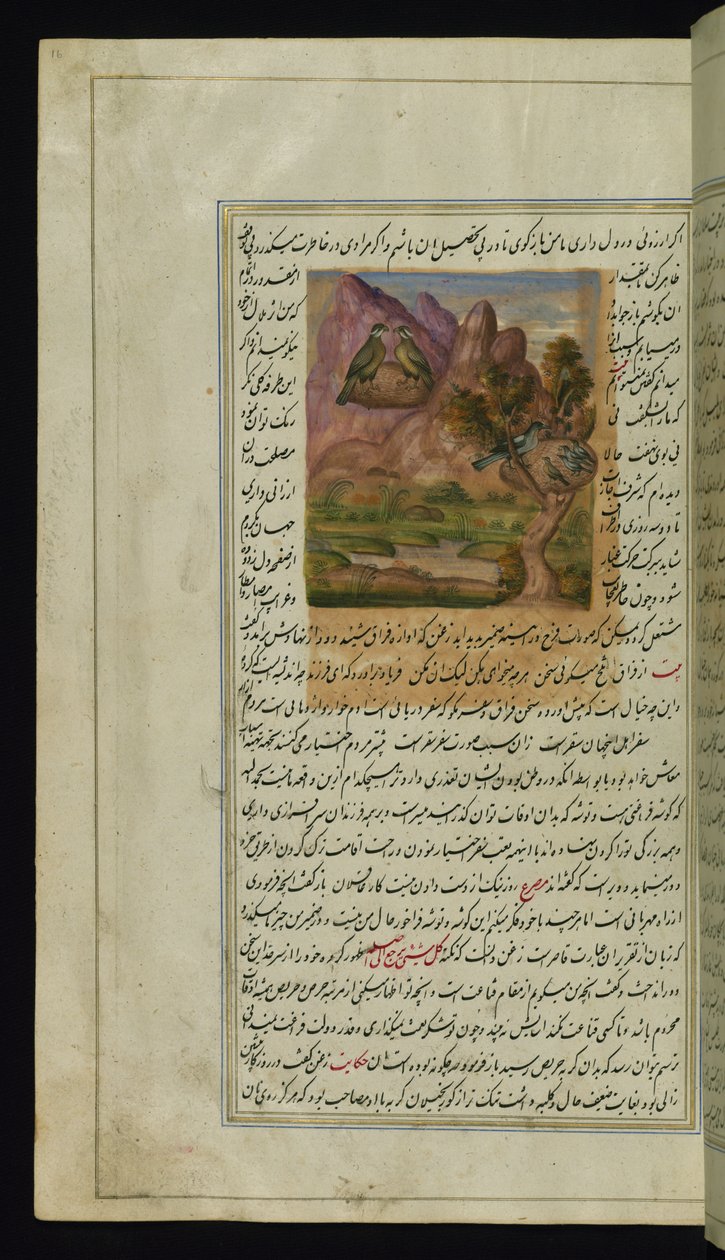 To hauker og et kråkereir fra Lights of Canopus av Persian School