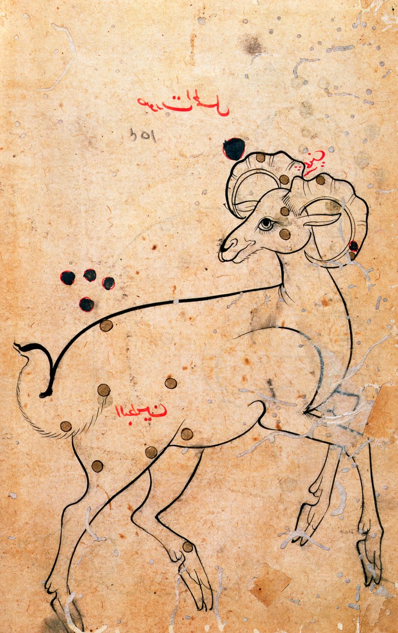 f.154a Væren, væren, persisk, fra Isfahan eller Shiraz, ca. 1600 (blekk på papir) av Persian School
