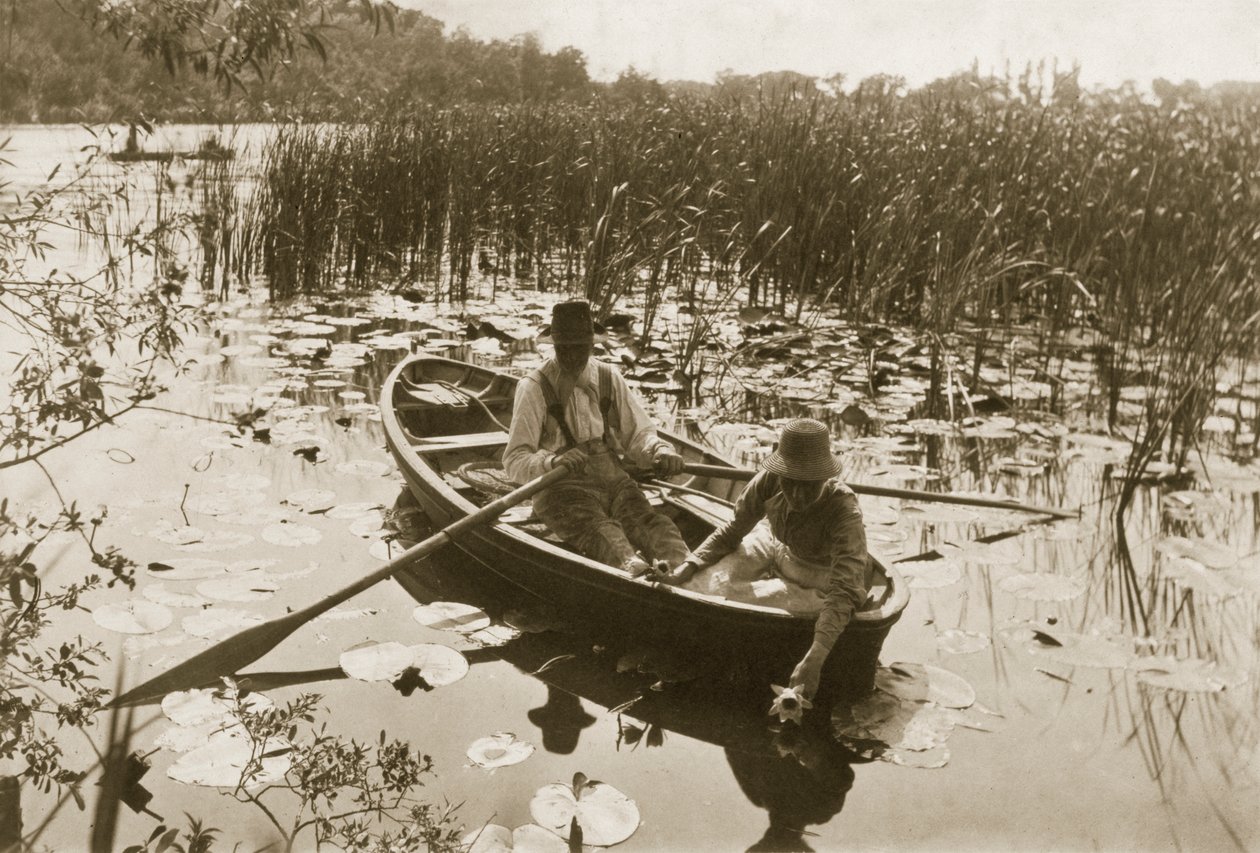 Samler vannliljene, 1886 (fotografi) av Peter Emerson und Thomas Goodall