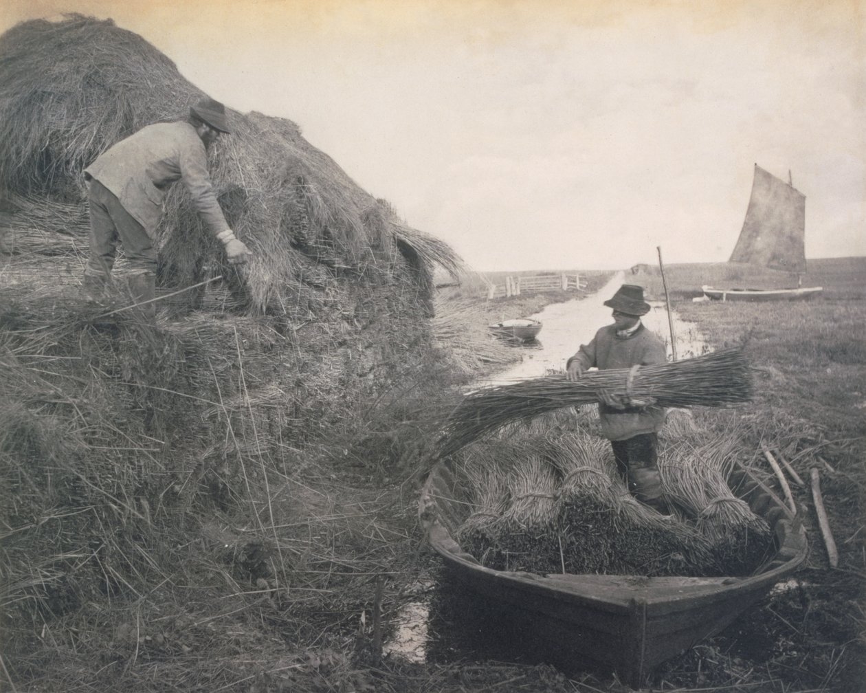 Rockin the Reef, Life and Landscape on the Norfolk Broads, ca. 1886 av Peter Emerson und Thomas Goodall