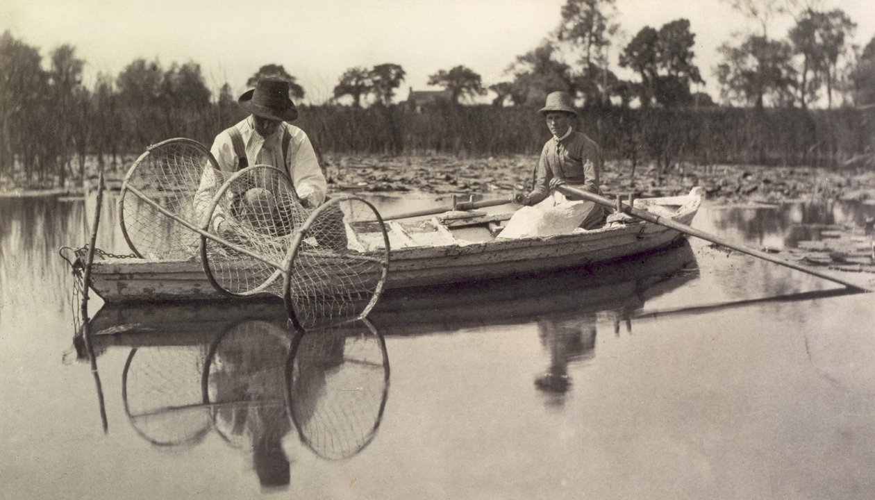 Sette buenet, liv og landskap på Norfolk Broads; ca. 1886 av Peter Emerson und Thomas Goodall