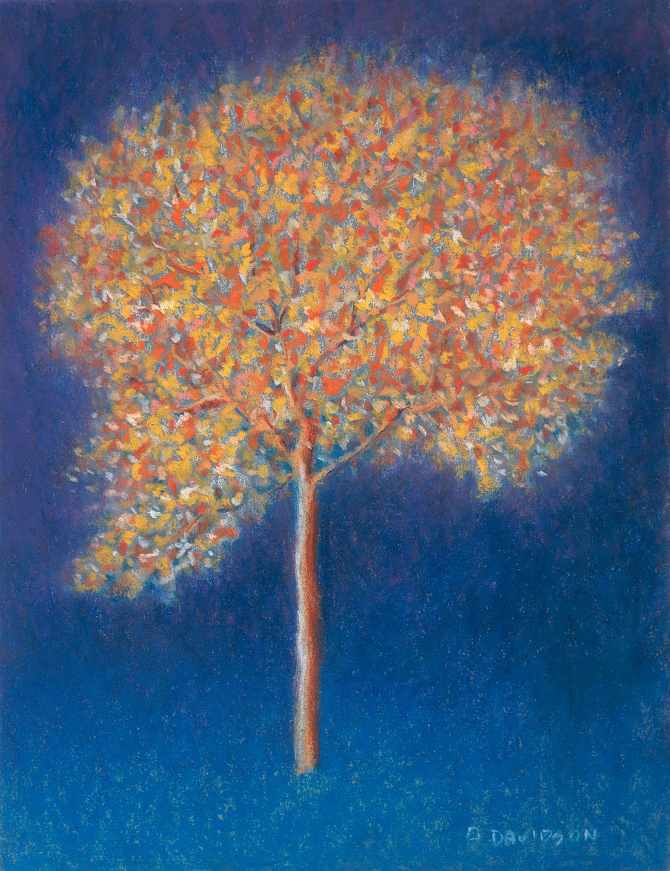 Tree in Blossom, 1997 av Peter Davidson