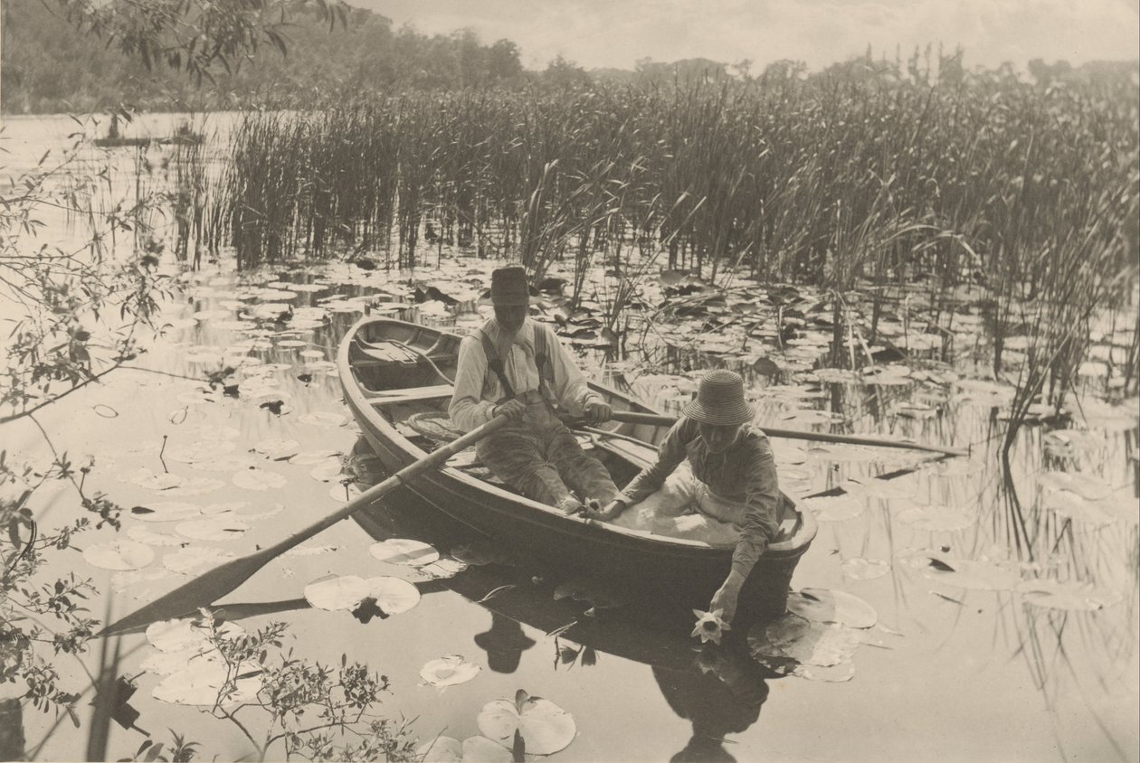 Samler vannliljer av Peter Henry Emerson