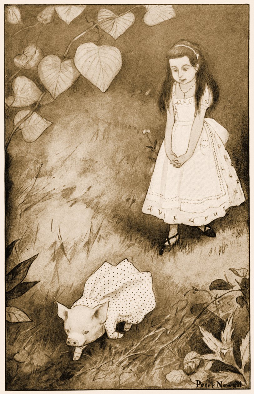 "Så hun satte den lille skapningen ned", illustrasjon for Lewis Carrolls Alice