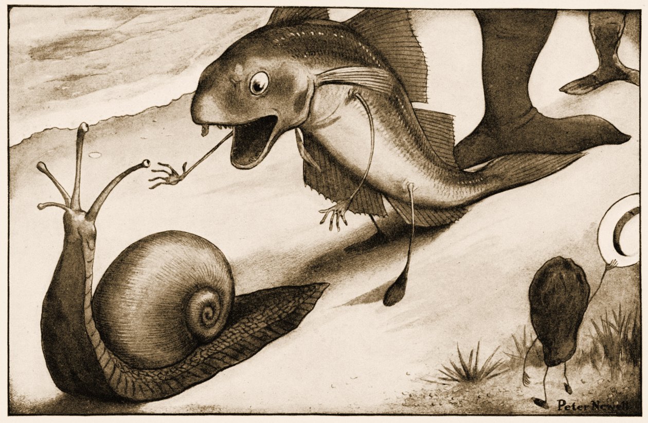 ""Vil du gå litt fortere?" sa a Whiting to a Snail", illustrasjon for Lewis Carrolls Alice