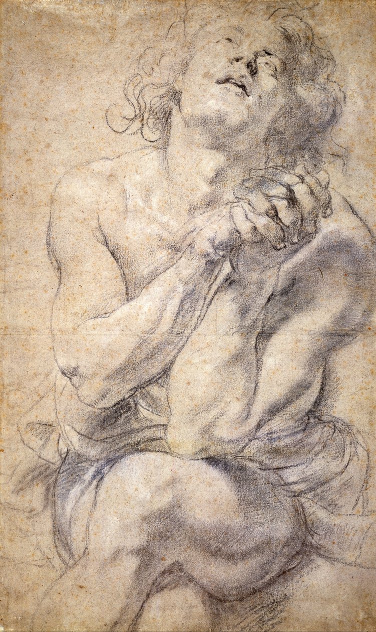 Sittende mannlig ungdom (studie for Daniel) av Peter Paul Rubens