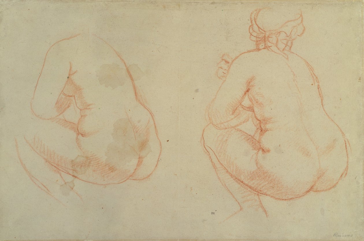 Studier av kvinnelige nakenbilder av Peter Paul Rubens