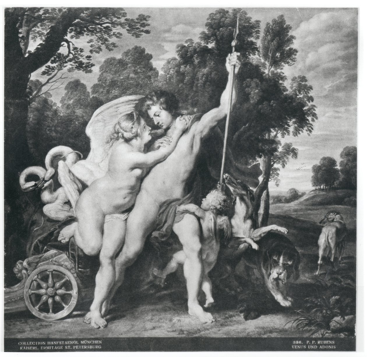 Venus og Adonis av Peter Paul Rubens