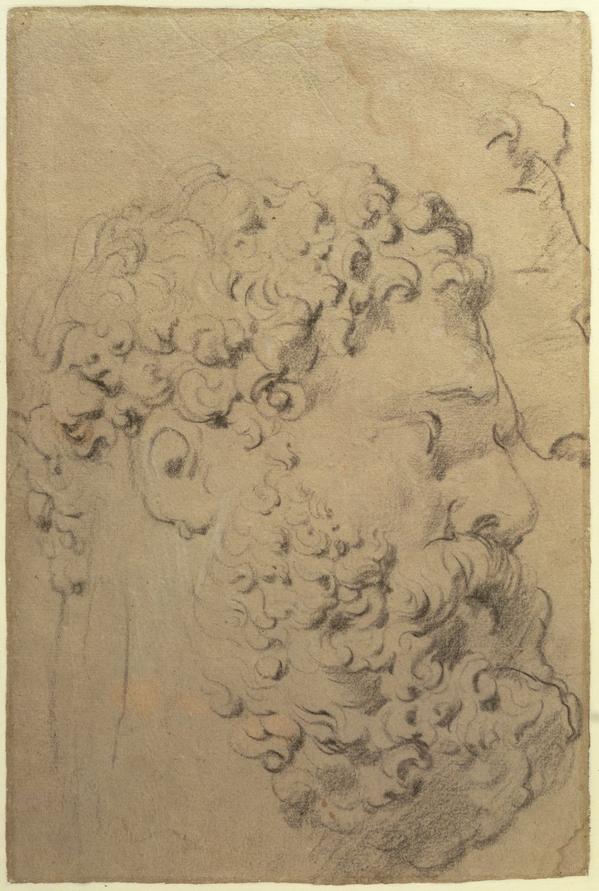 Studier av hodet og profilen til Farnese Hercules av Glycon, verso, 1606-08 (svart-hvitt kritt på papir) av Peter Paul Rubens