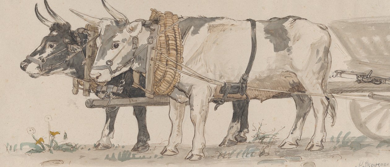 To okser som trekker en vogn, 1874. av Peter Christian Thamsen Skovgaard