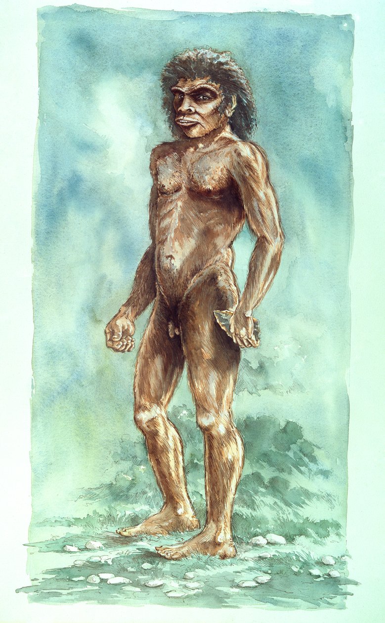 Boxgrove Man, forhistorisk, 1990-2010 av Peter Dunn