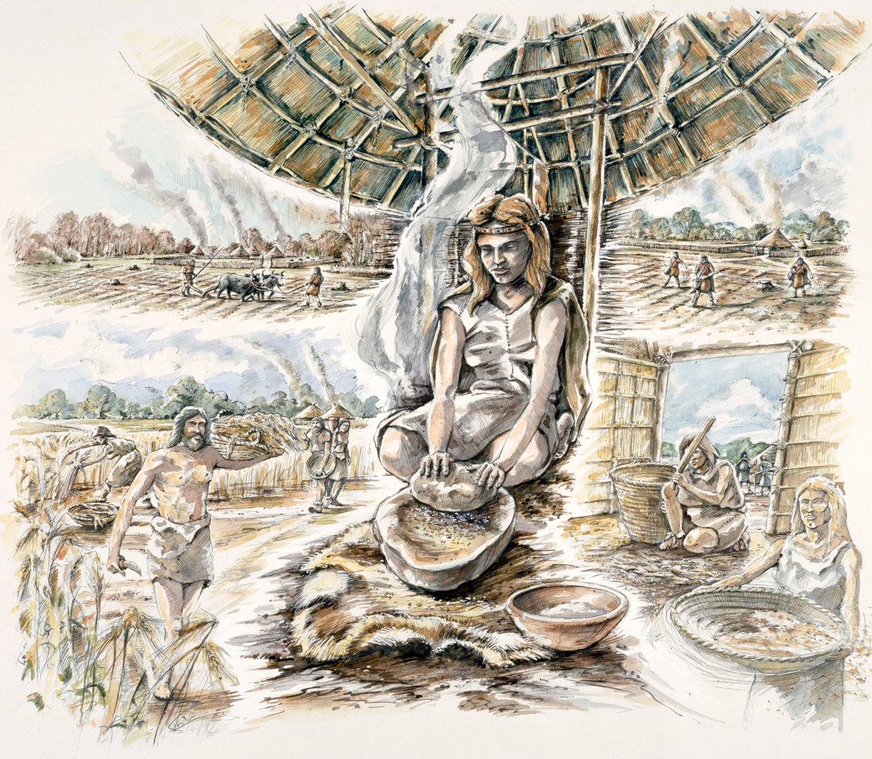 Neolittisk kornproduksjon, c1990-2010 av Peter Dunn