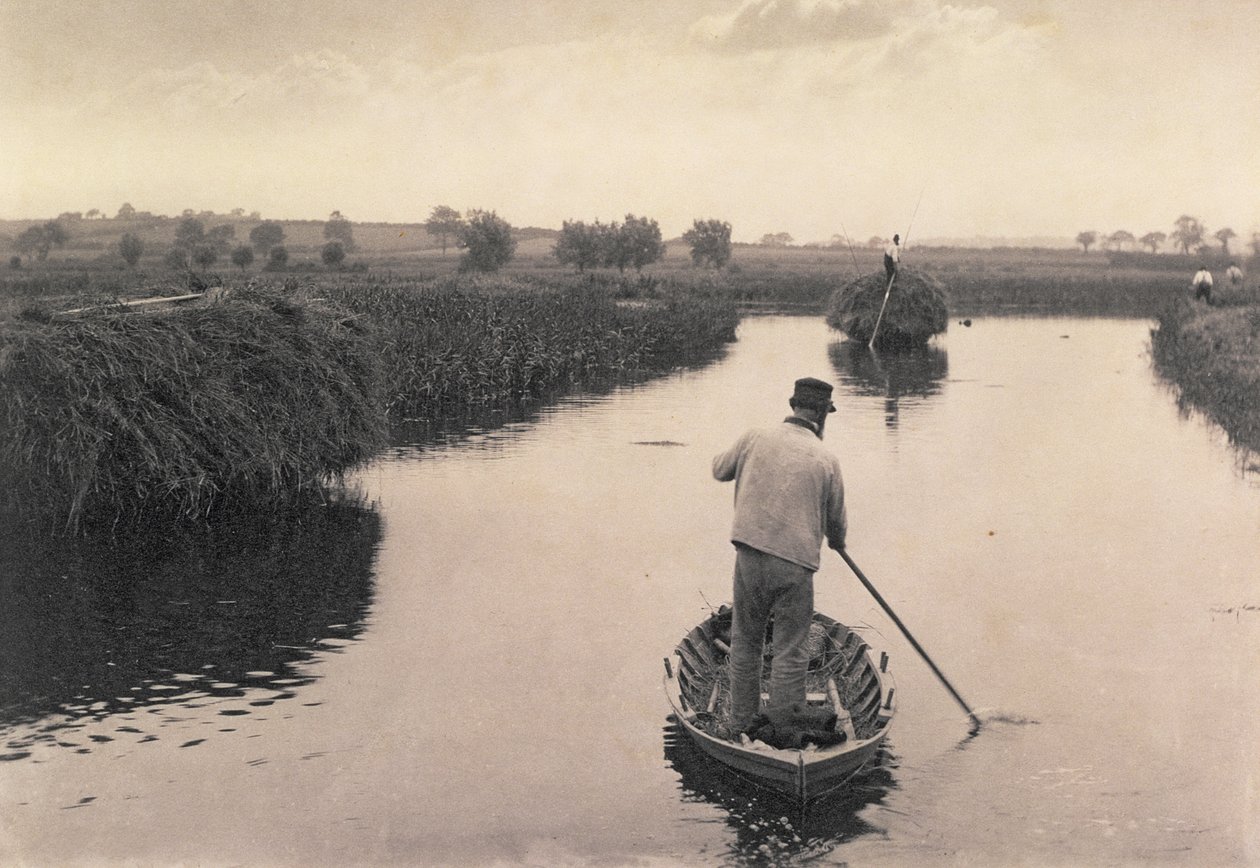 Quartering the Marsh Hay, Life and Landscape on the Norfolk Broads, ca. 1886 av Peter Emerson und Thomas Goodall