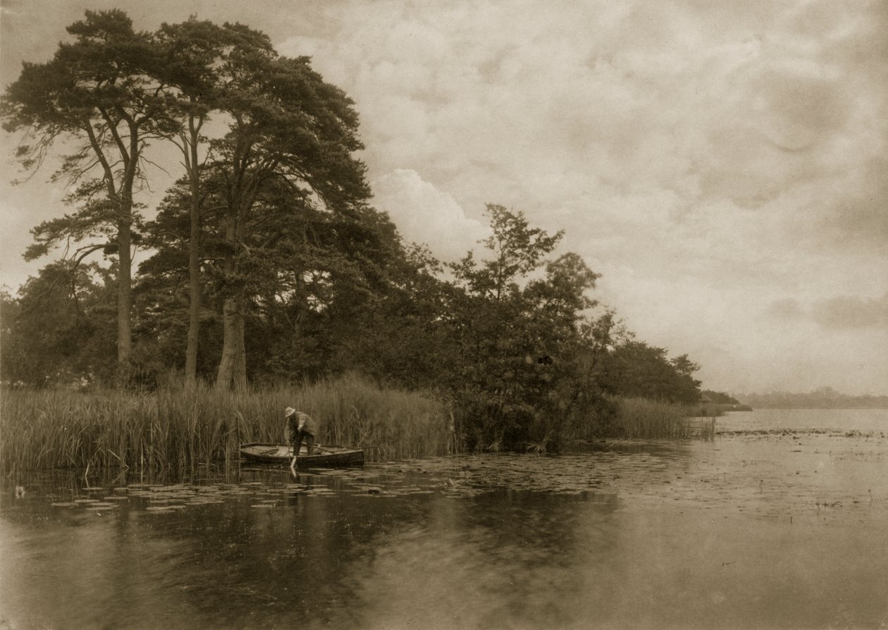 The Haunt of the Pike, ca. 1886 av Peter Emerson und Thomas Goodall