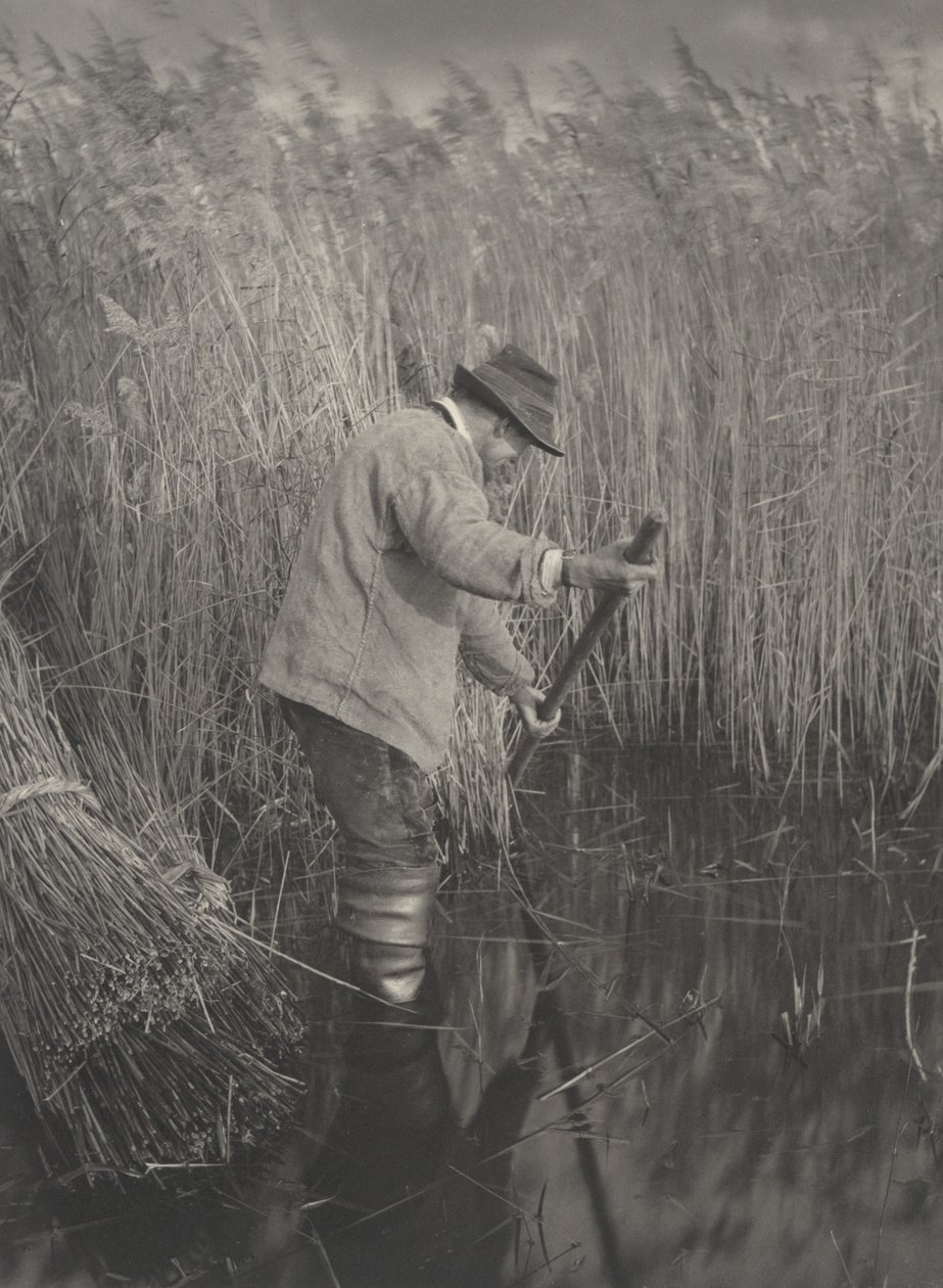 A Reed-Cutter at Work, 1886. Skapere: Dr Peter Henry Emerson, Thomas Frederick Goodall. av Peter Henry Emerson, Thomas Frederick Goodall