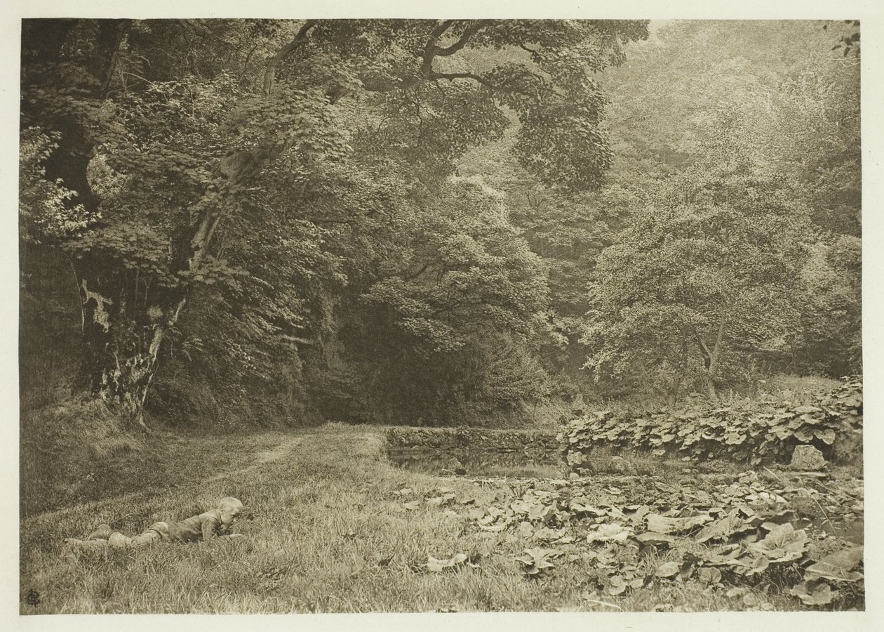  av Peter Henry Emerson