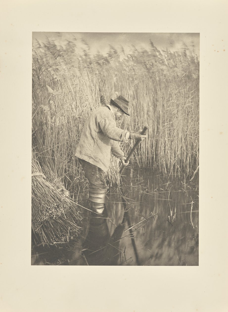 En rørskjærer i arbeid av Peter Henry Emerson