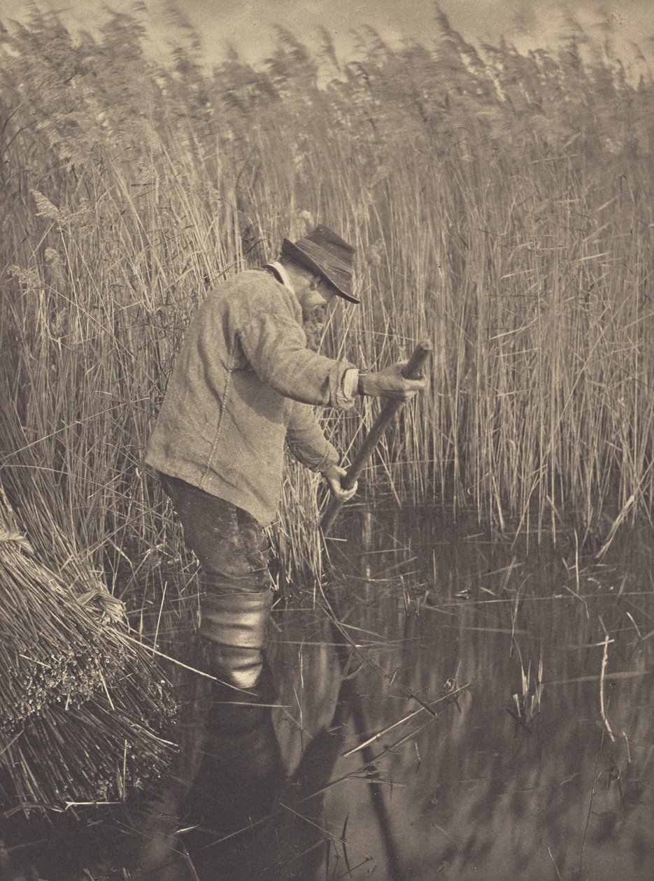 En rørskjærer i arbeid av Peter Henry Emerson