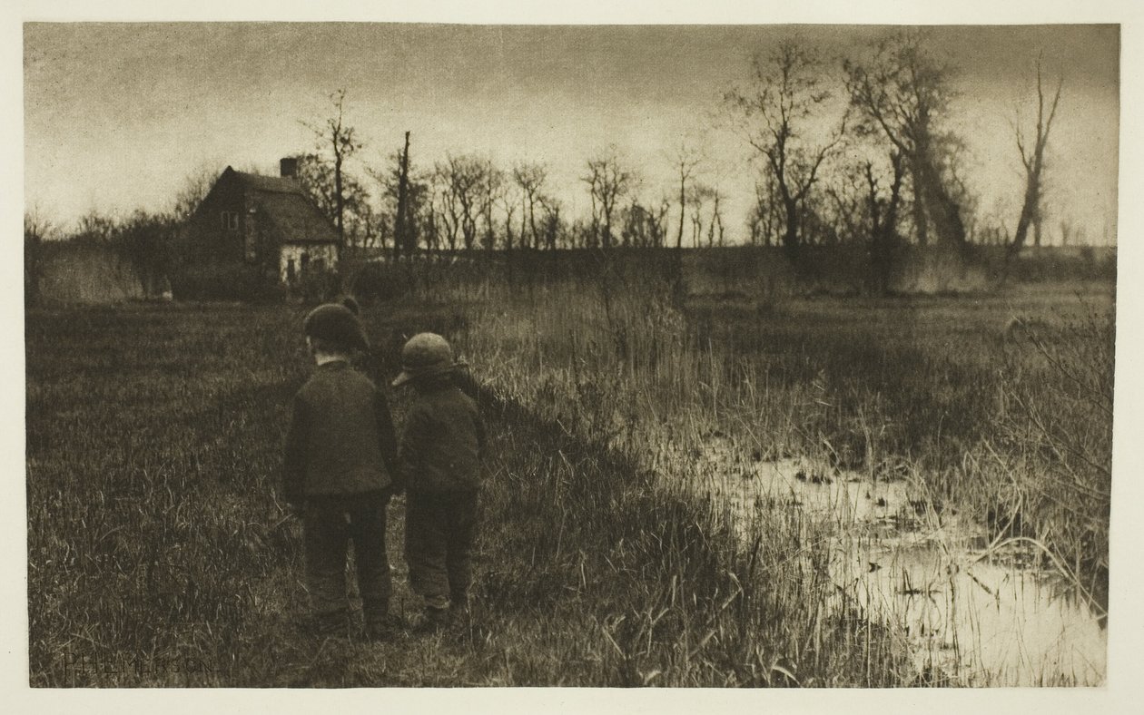 A Toad in the Path: Tidlig vår i Norfolk av Peter Henry Emerson