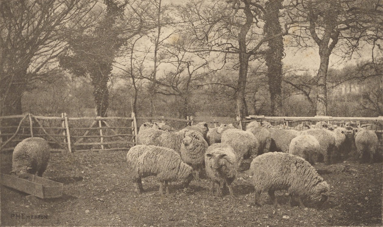 En høstpastorale av Peter Henry Emerson