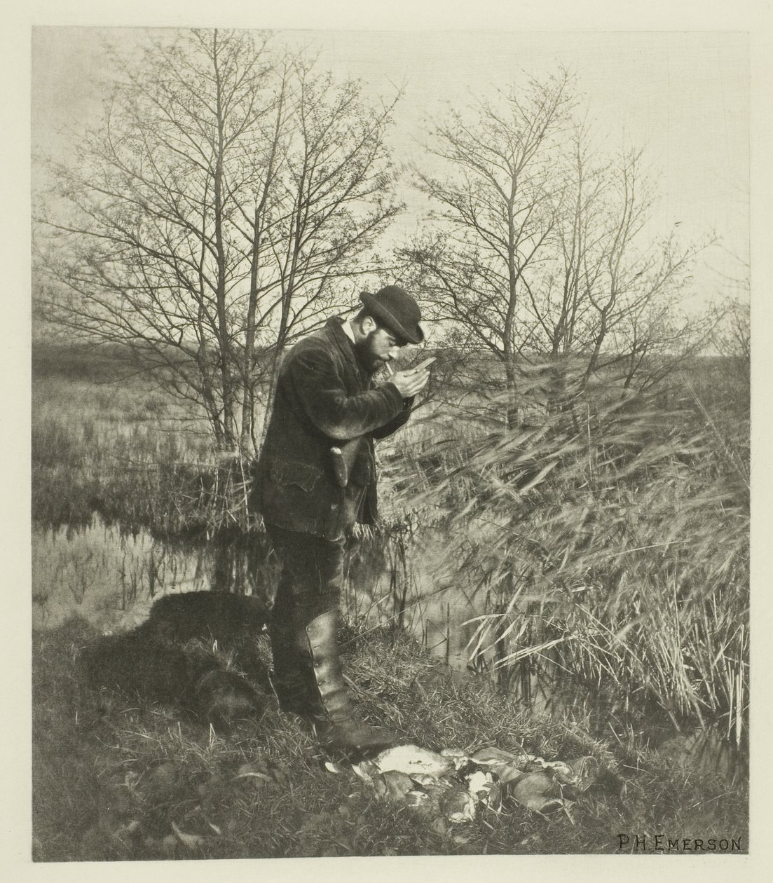 At the Covert Corner (Norfolk) av Peter Henry Emerson
