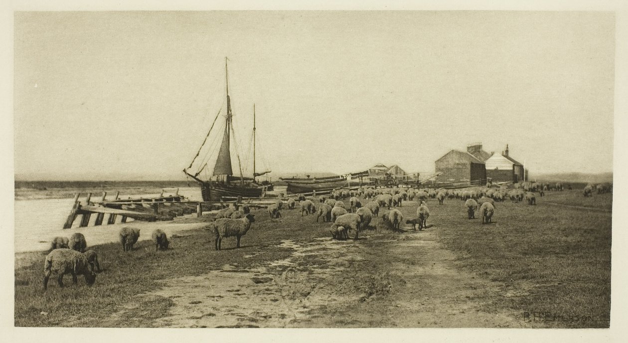 Blackshore, River Blythe (Suffolk) av Peter Henry Emerson