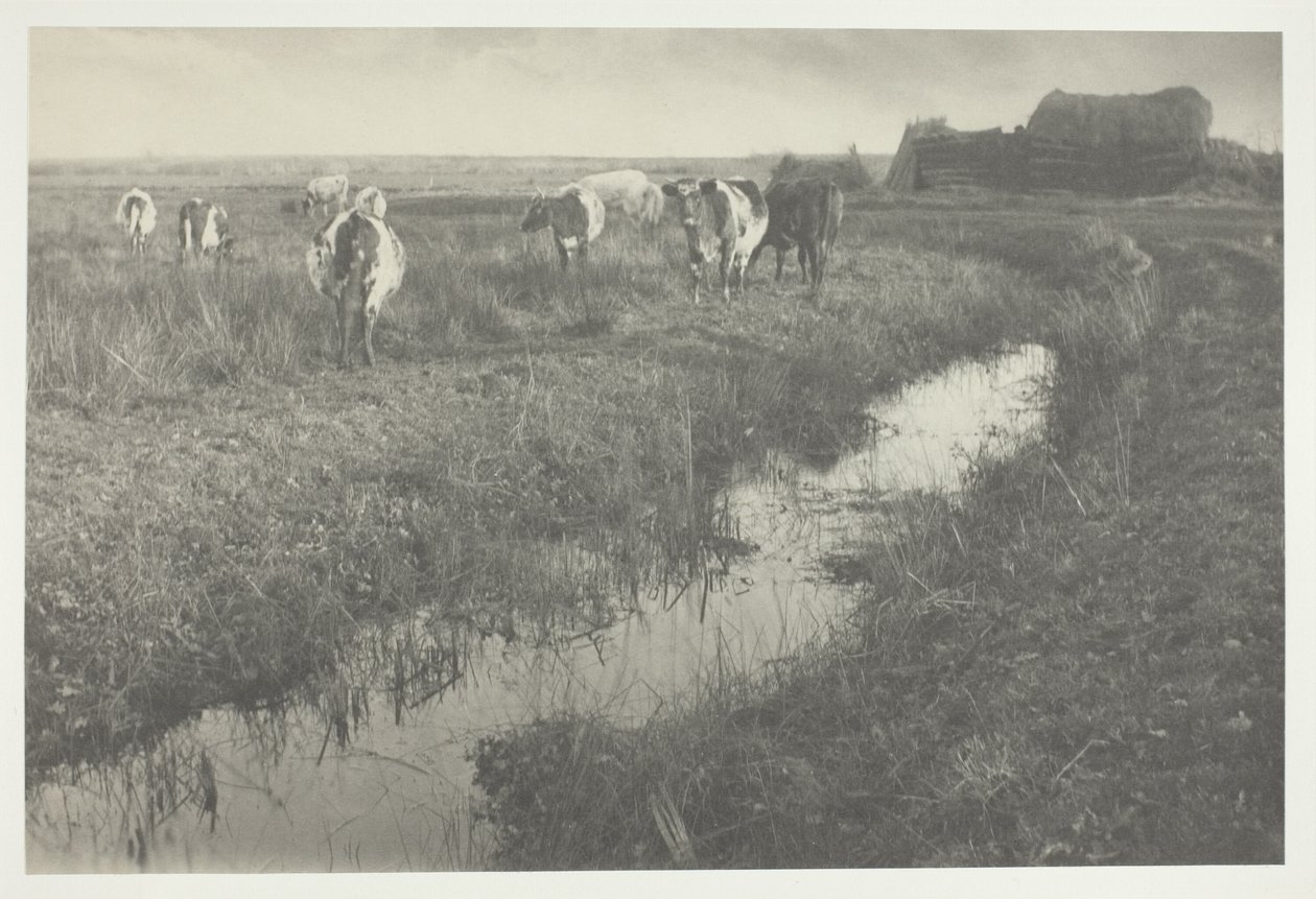  av Peter Henry Emerson
