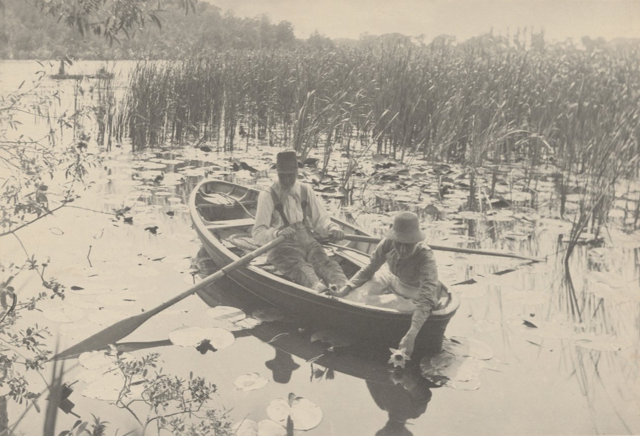 Samling av vannliljer, 1886 (foto) av Peter Henry Emerson
