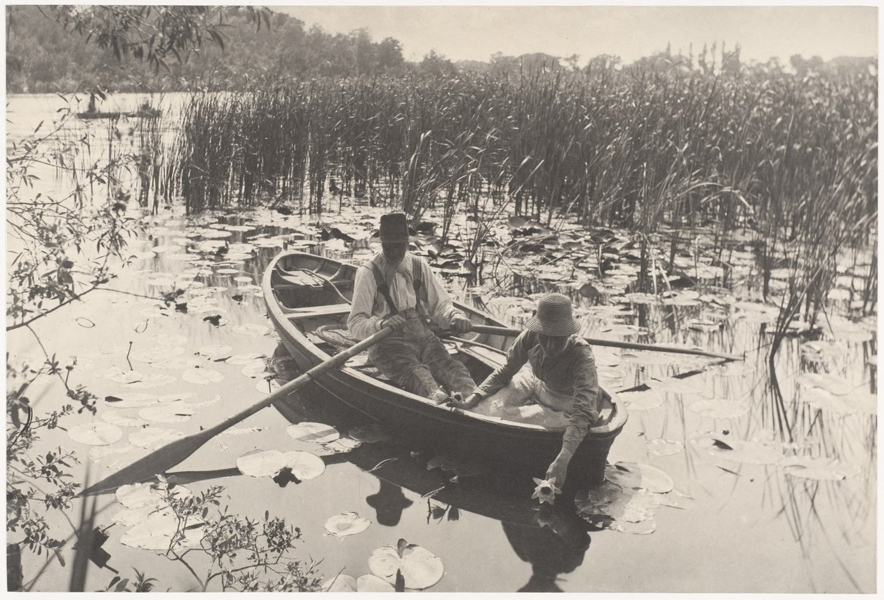 Plukking av vannliljer av Peter Henry Emerson