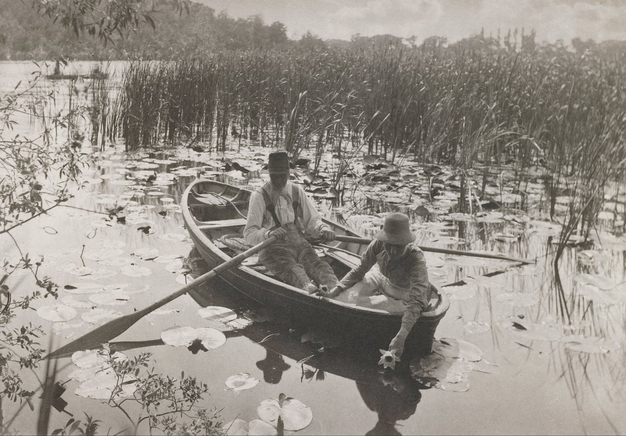 Å samle vannliljer av Peter Henry Emerson