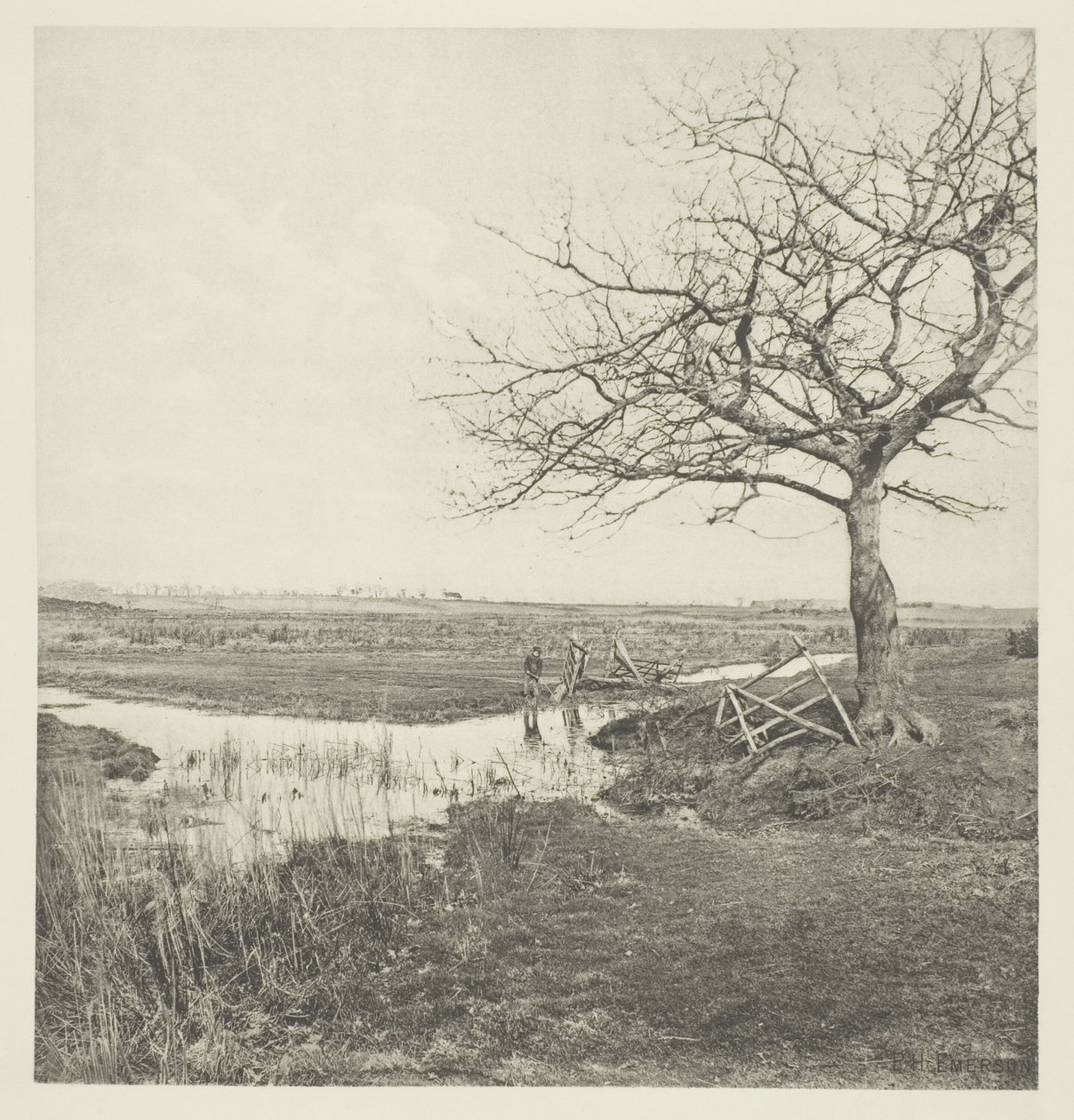 Leafless March (Suffolk) av Peter Henry Emerson