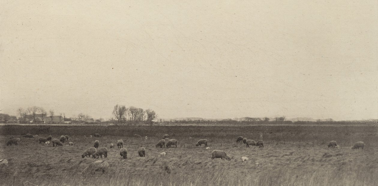 Myrer ved Nordsjøen, 1890-1891, trykt 1893. av Peter Henry Emerson