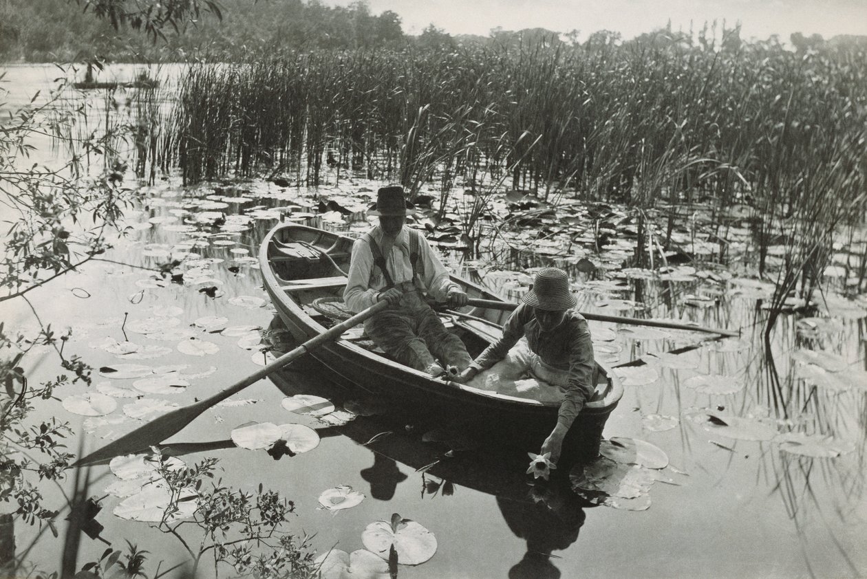 Ett av førti platinatrykk fra "Life and Landscape on the Norfolk Broads" av Peter Henry Emerson