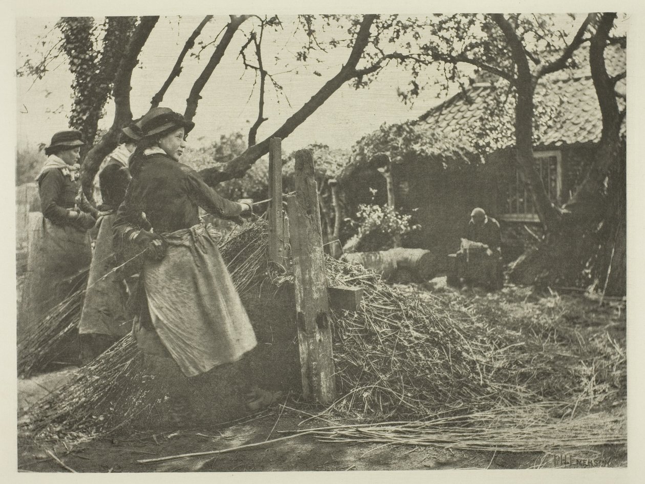 Osier-Peeling (Norfolk) av Peter Henry Emerson