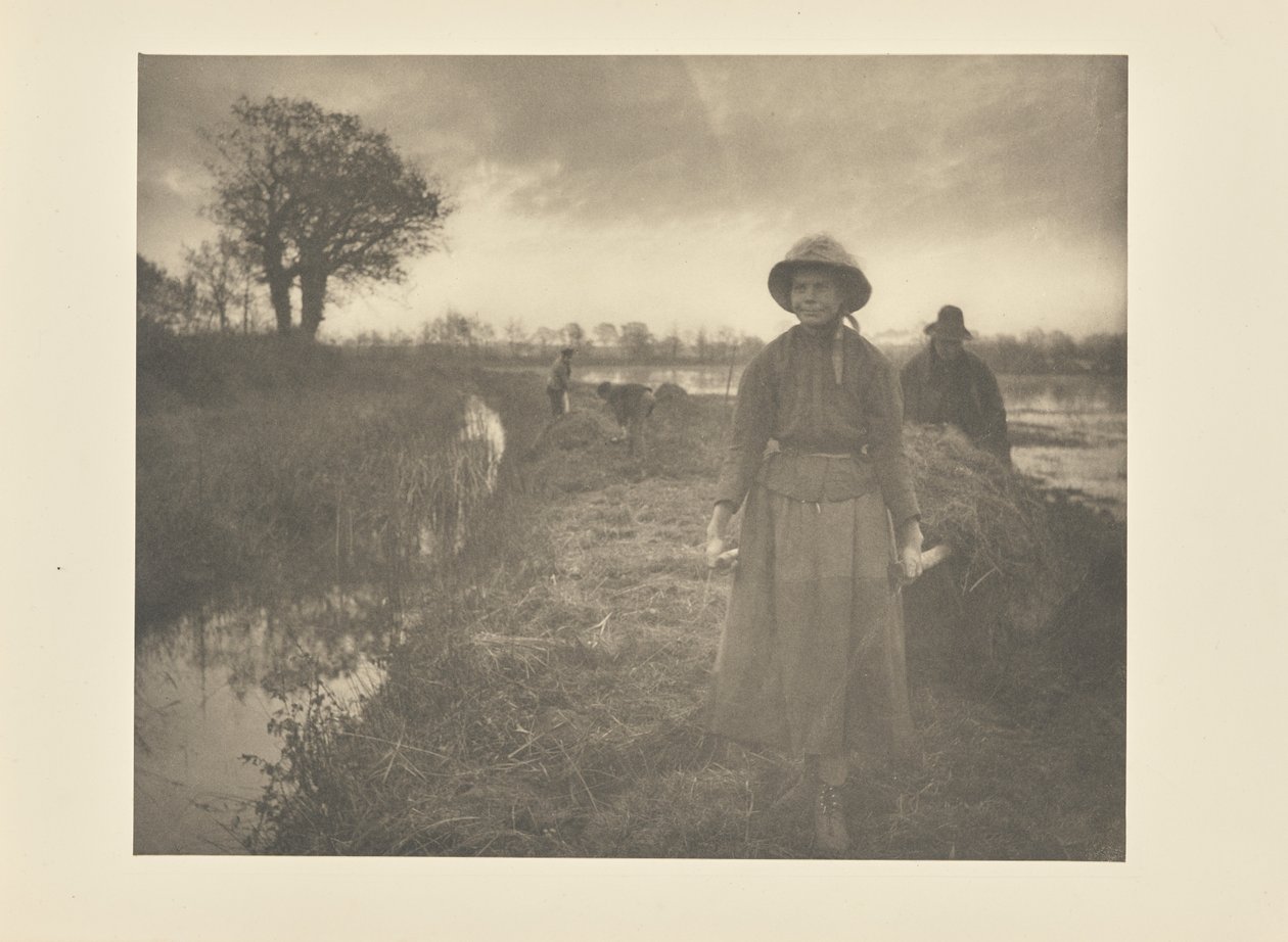 Høyslått i myrlandet av Peter Henry Emerson