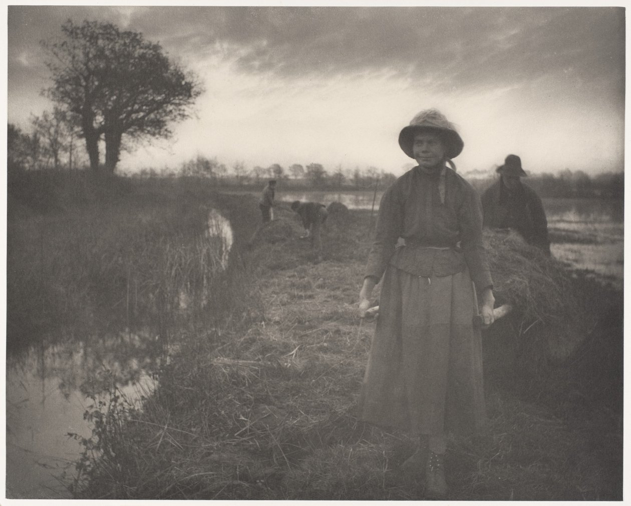 Å skyve myrhøy med staker av Peter Henry Emerson