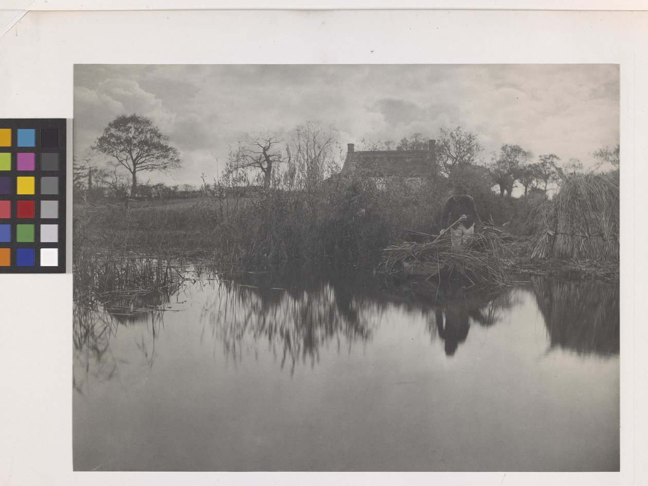 Quanting The Gladdon (platinatrykk på originalfeste) av Peter Henry Emerson