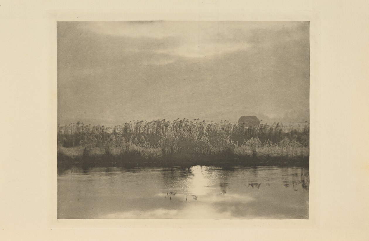 Rimkrystaller av Peter Henry Emerson