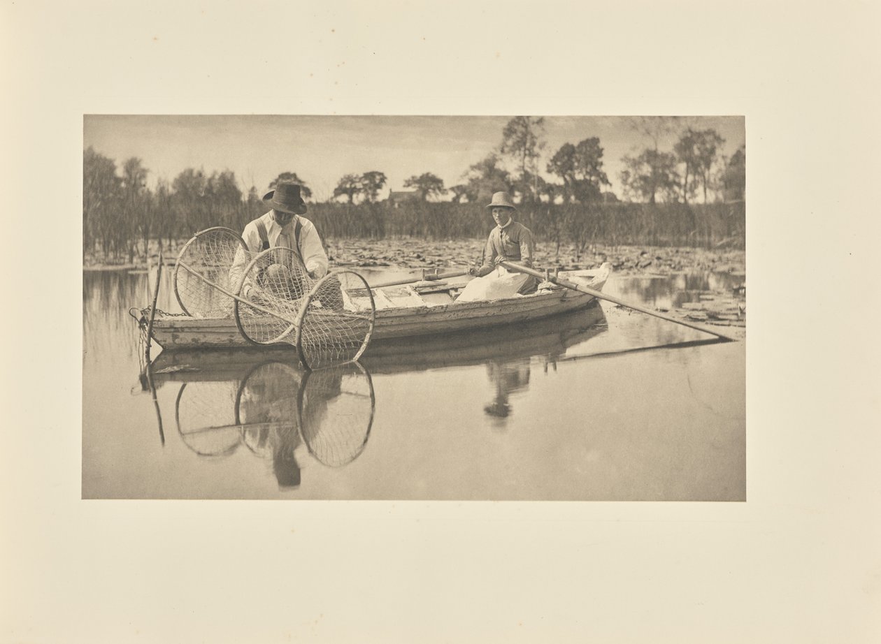 Utsetting av løftenettet av Peter Henry Emerson