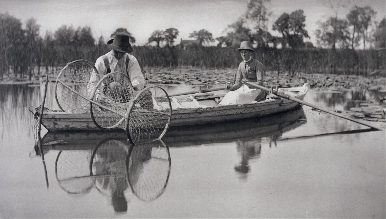 Utsetting av posenot av Peter Henry Emerson