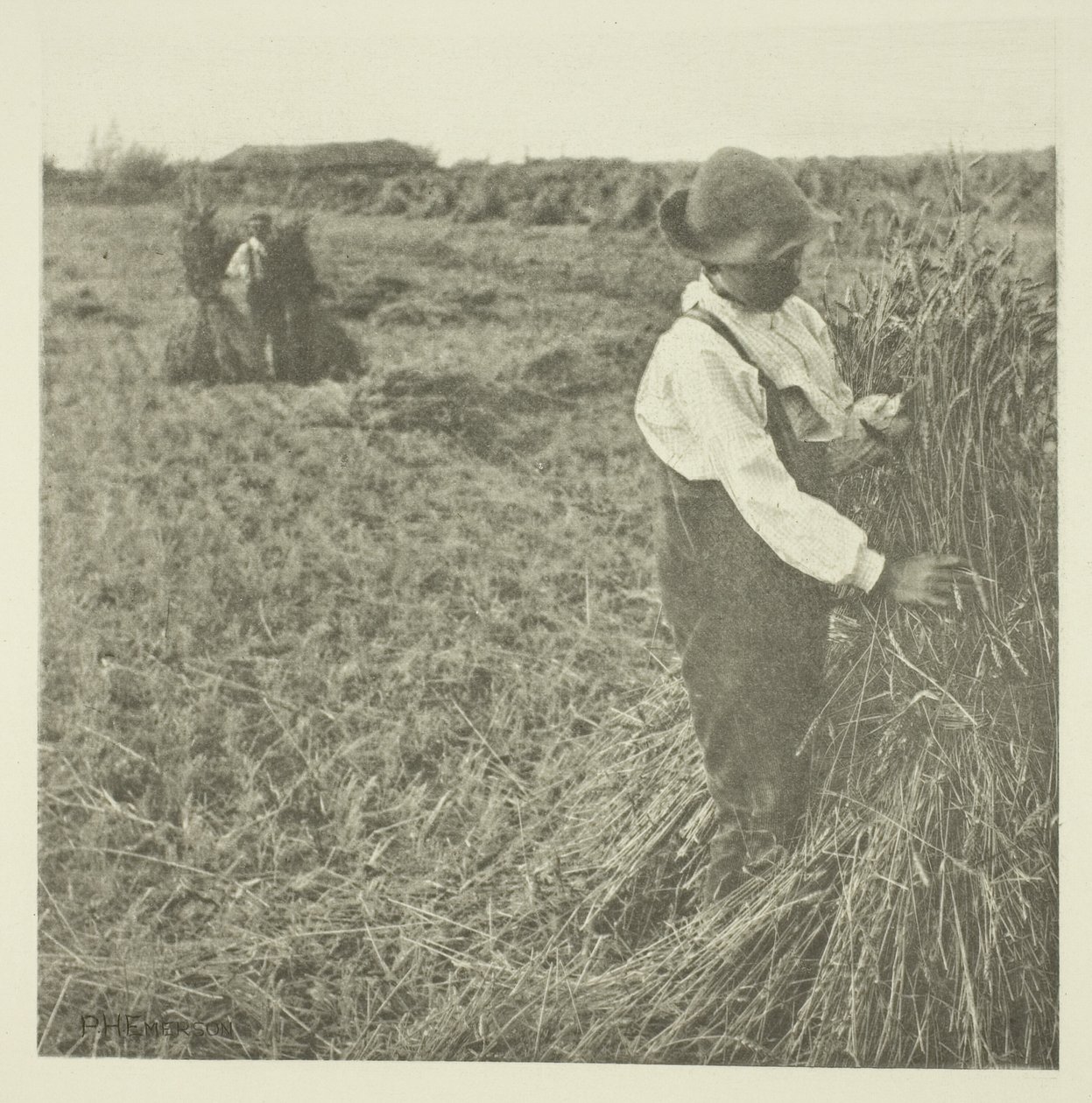 Shocking Corn (Norfolk) av Peter Henry Emerson