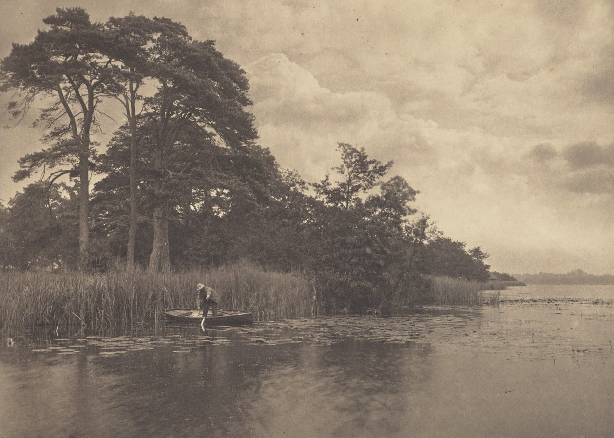 Gjeddes tilholdssted av Peter Henry Emerson