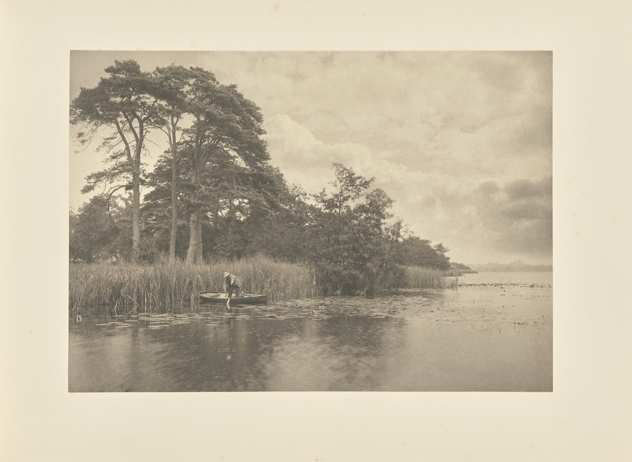Gjeddes tilholdssted av Peter Henry Emerson