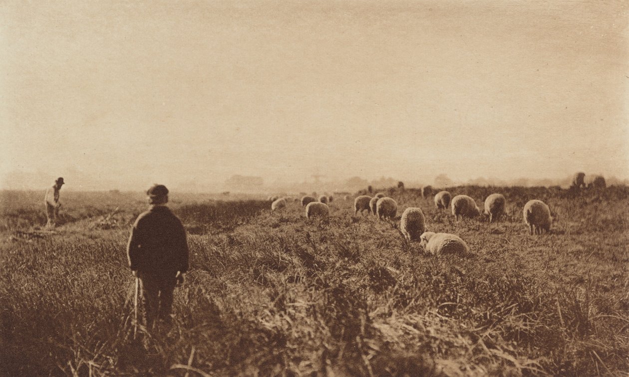 The Marshes i juni, 1890-1891, trykt 1893. av Peter Henry Emerson