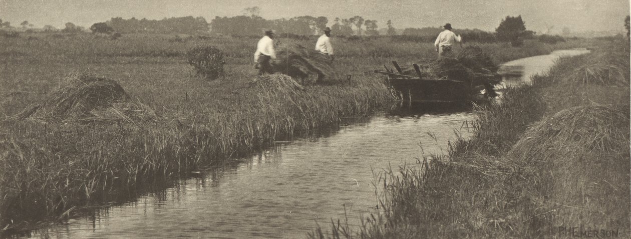 Starrhøstingen av Peter Henry Emerson