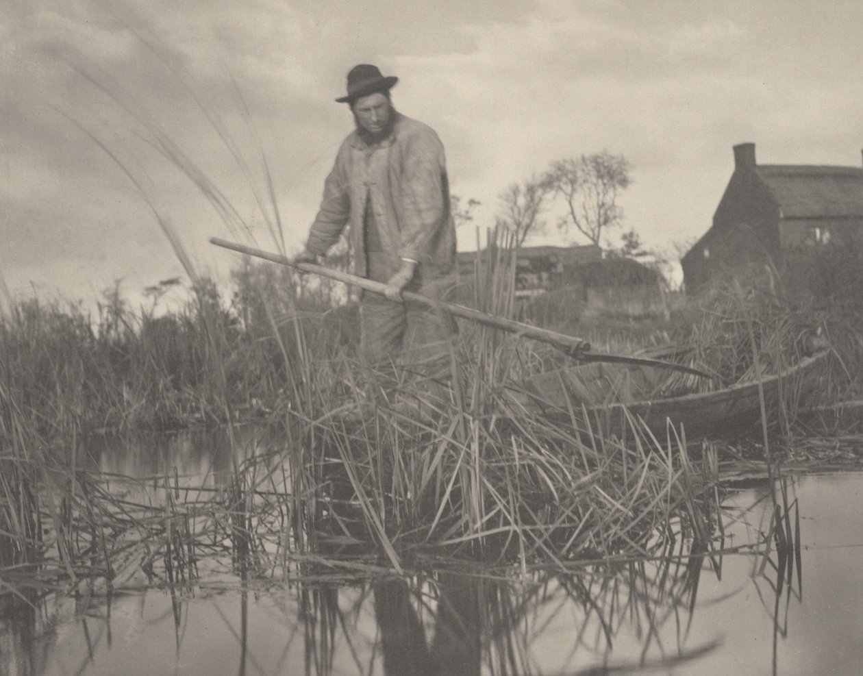 Kutte Gladdon av Peter Henry Emerson and T.F. Goodall