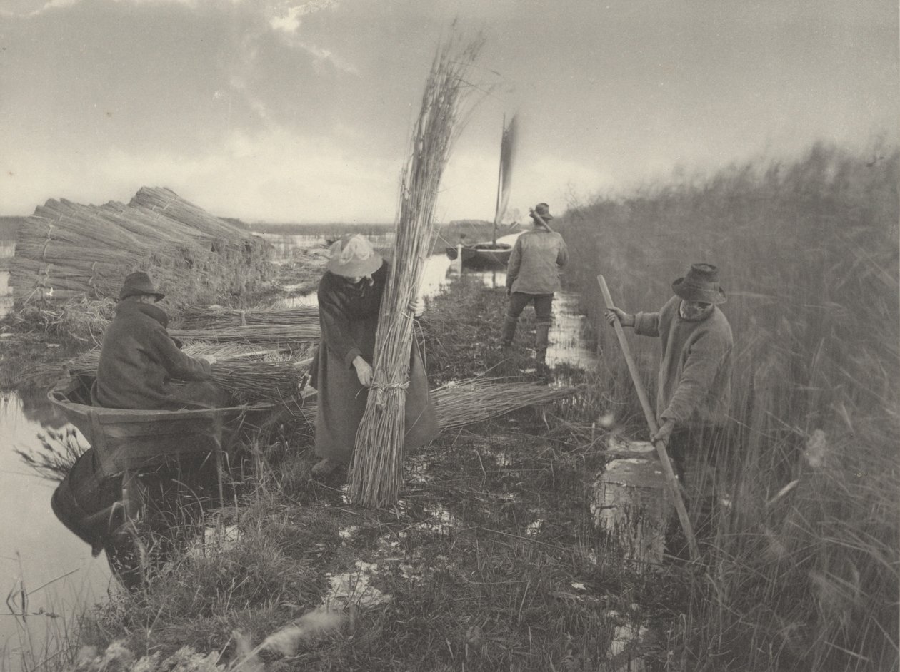 Under sivhøsten av Peter Henry Emerson and T.F. Goodall